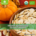 Plant Based Organic Protein Powder Hydrolyzed Pumpkin Seed extract powder